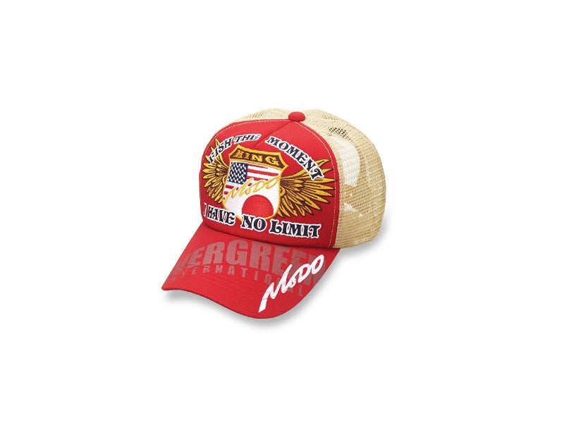 Modo Mesh Cap Type2 Main image