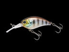 Mushbob 50mr | Uroko Hl Chigill