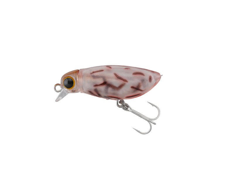 Mute Ball Minnow 38f | Hagure Warekara