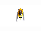 Nano Siglett | Ff Bee