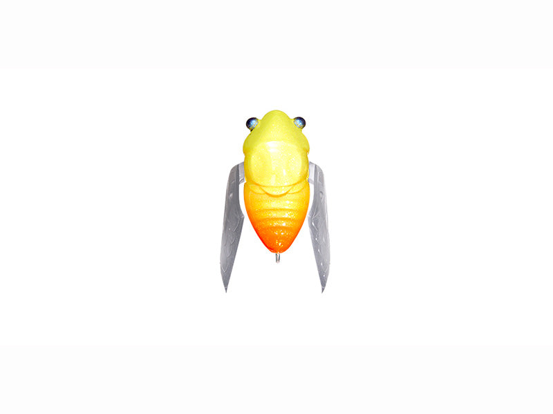 Nano Siglett | Glx Iraga