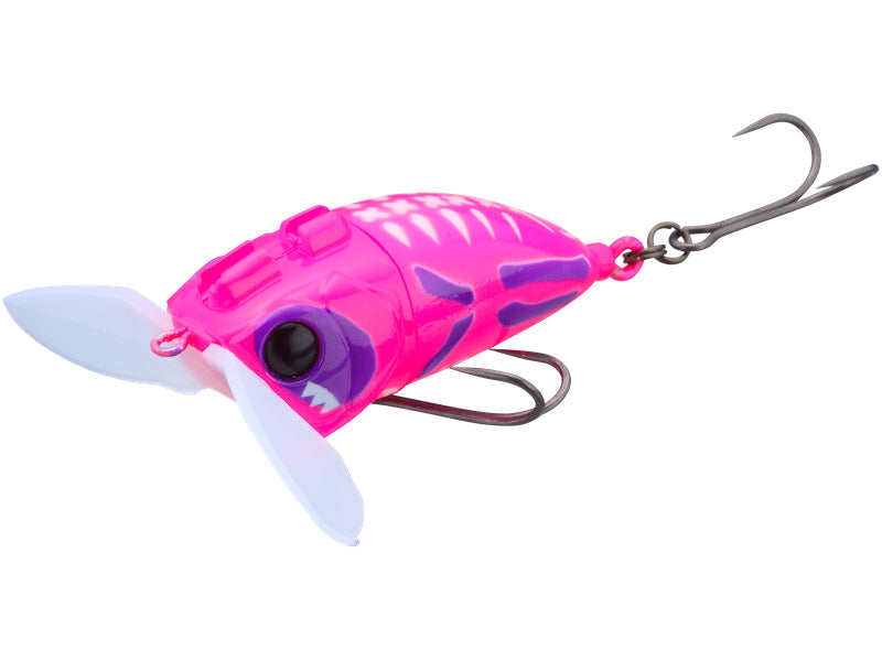 Nazzy Bug | Pp Frog Bone