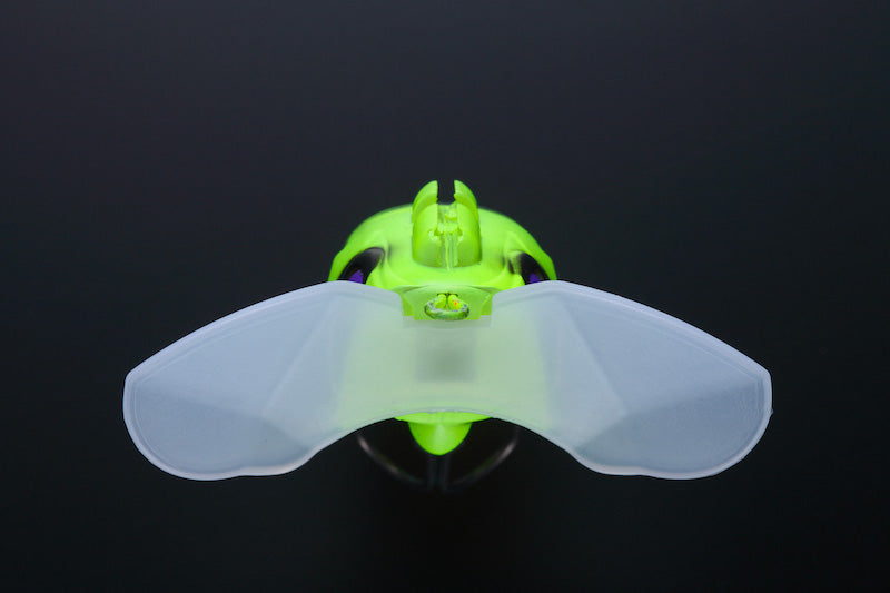 Nazzy Bug