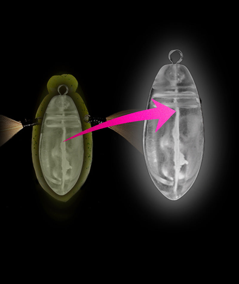 Need Cicada