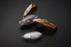 Need Cicada