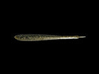 New I Shad | 3.8” Dark Thunder/clear Silver