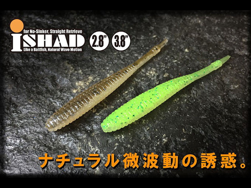 New I Shad