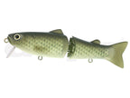 New Silentkiller 115 | #01 Flash Carp
