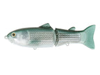 New Slide Swimmer 145 | Ss #14 Mullet