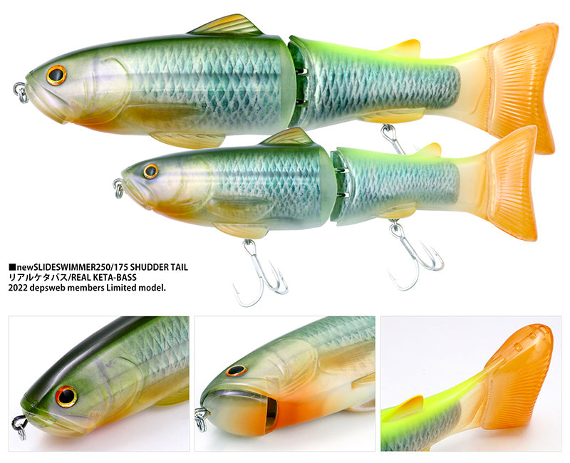 New Slide Swimmer 250 Shuddertail | Real Ketabass