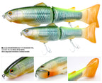 New Slide Swimmer 250 Shuddertail | Real Ketabass