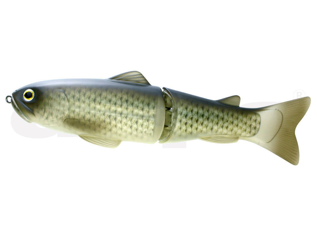 New Slide Swimmer 250 | Ss #01 Flash Carp