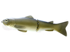 New Slide Swimmer 250 | Ss #13 Wild Carp