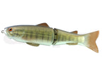 New Slide Swimmer 250 | Ss #17 Smallmouth