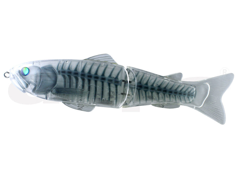 New Slide Swimmer 250 | Ss #19 X-lay