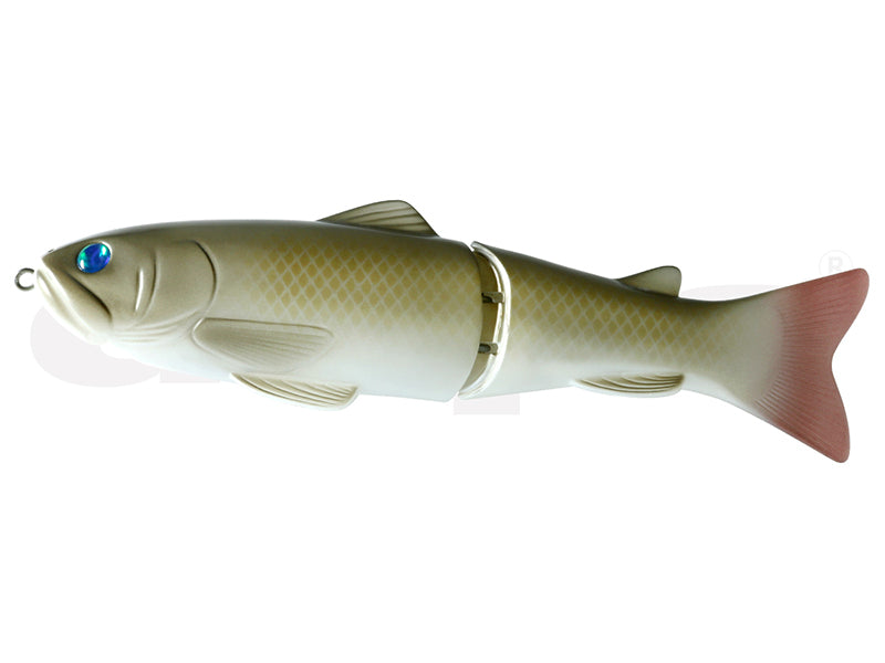 New Slide Swimmer 250 | Ss #21 Wild Scale