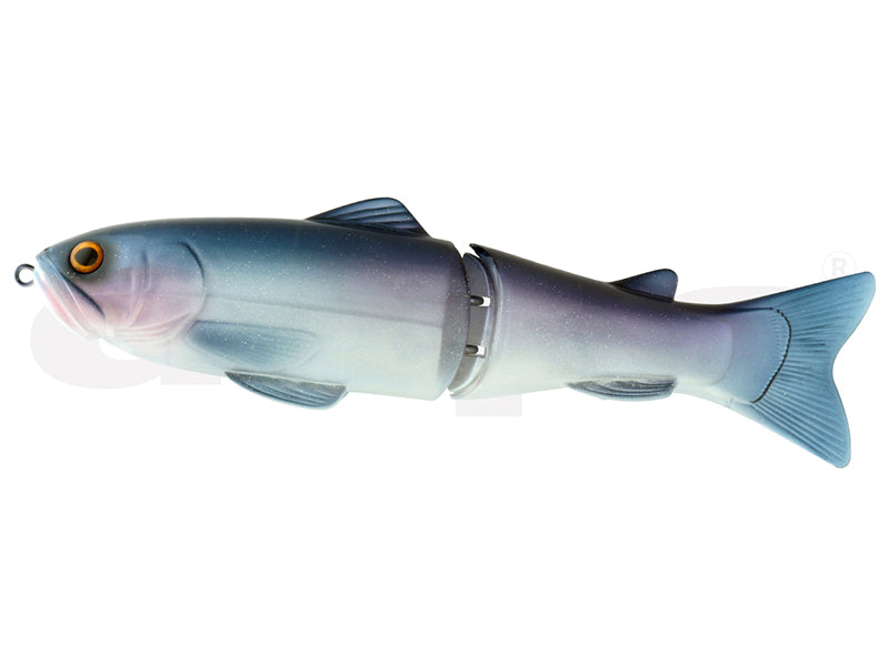 New Slide Swimmer 250 | Ss #24 Pro Blue Shiner