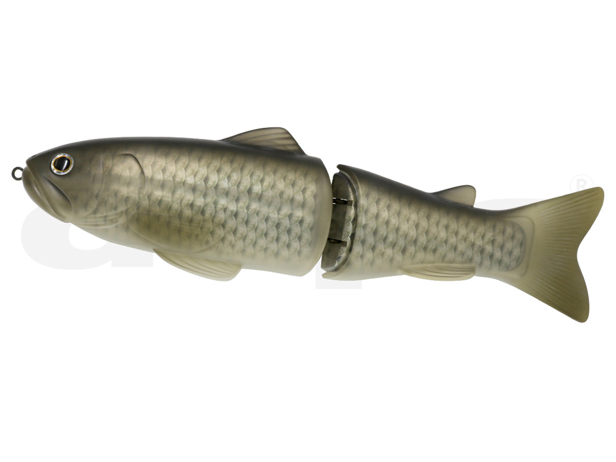 New Slideswimmer 300 | #01 Flash Carp Main image