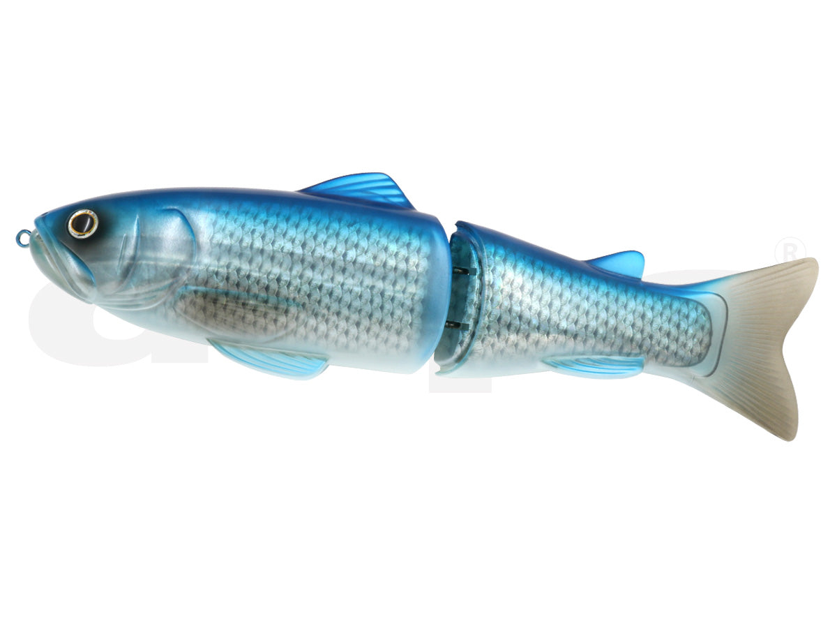 New Slideswimmer 300