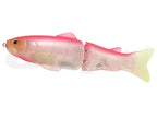 New Slideswimmer 300
