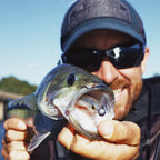 New Spark Shad