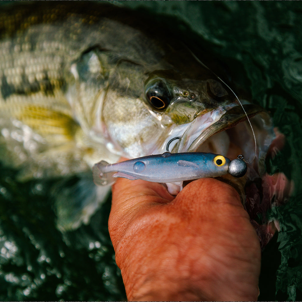 New Spark Shad