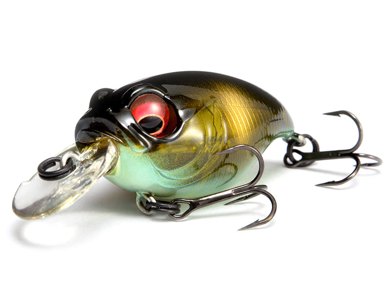 New Sr-x Griffon Immagine principale del prodotto