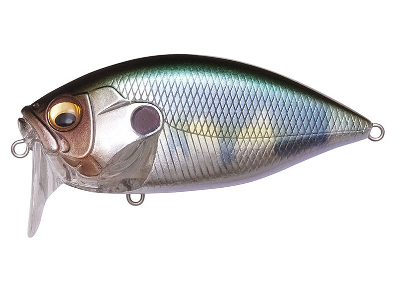 O.r.c Burning Shad | Wagin Hasu Bs