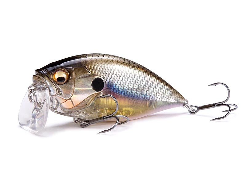 O.r.c Burning Shad Immagine principale del prodotto