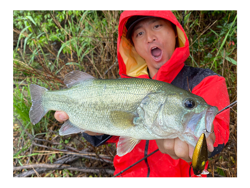 O.r.c Burning Shad