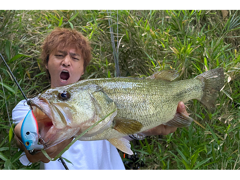 O.r.c Burning Shad
