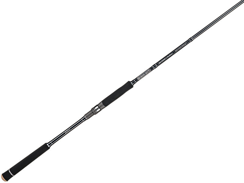 Jackson Ocean Gate Seabass - Fishing Rods, Saltwater Rods