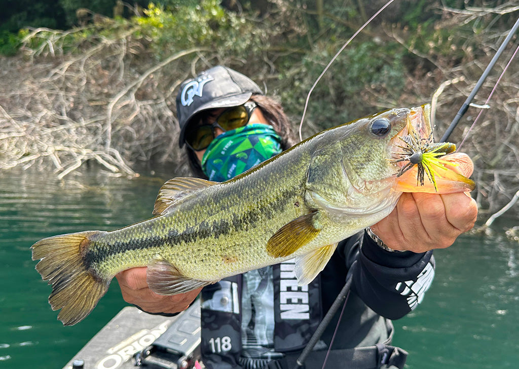 Orion EVERGREEN - Freshwater Rods | Plus Fishing – Plus Fishing Store