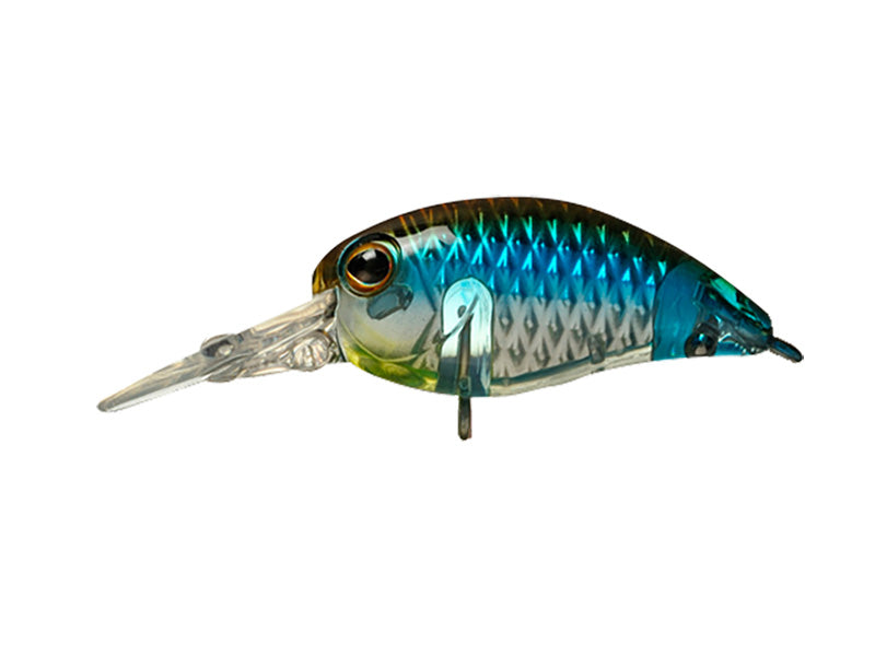 Panicra | Dr Is Blue Silver