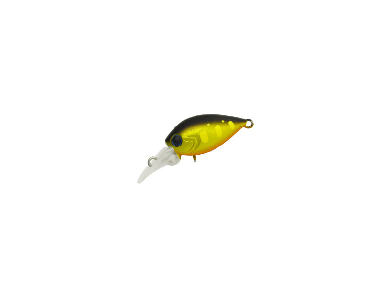 Pico Chattecra Mr | Pp-01 Kurokin
