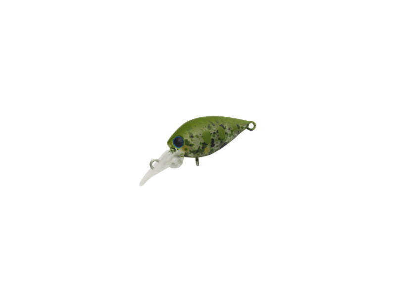 Pico Chattecra Mr | Pp-03 Hourensou