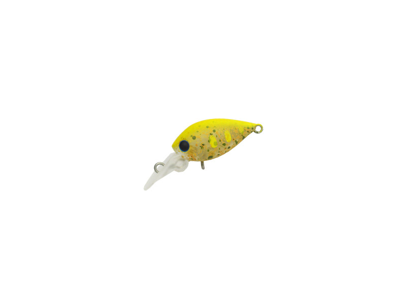 Pico Chattecra Mr | Pp-06 Mastard