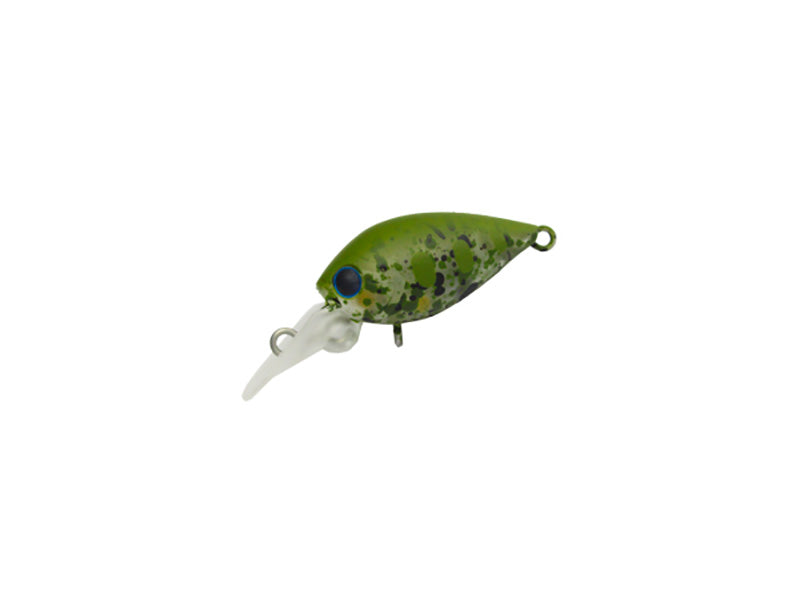 Pico Chattecra Mr