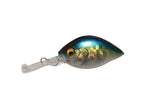 Picus | Gg Cruising Blue