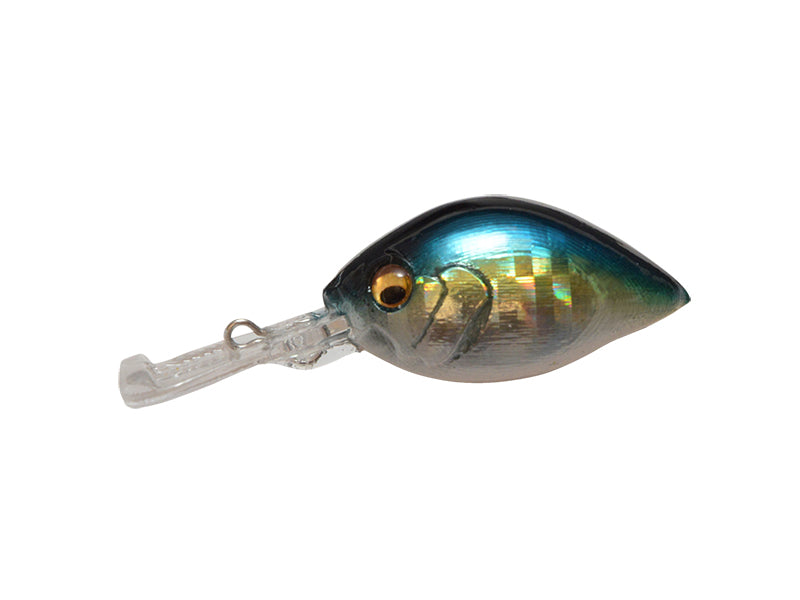 Picus | Gg Cruising Blue