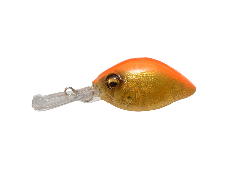 Picus | Glx Orange Gold