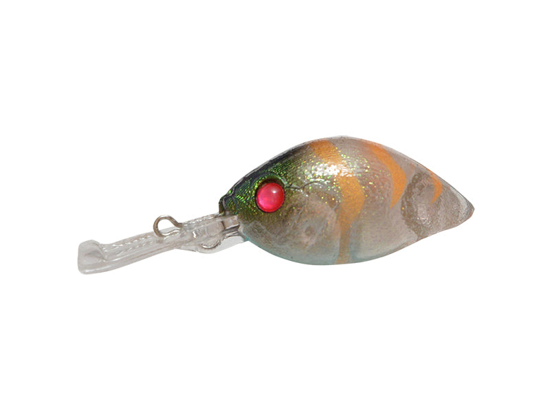 Picus | Neon Clear Shrimp