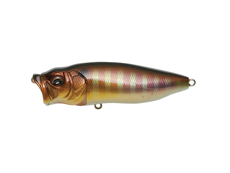 Popmax – Plus Fishing Store