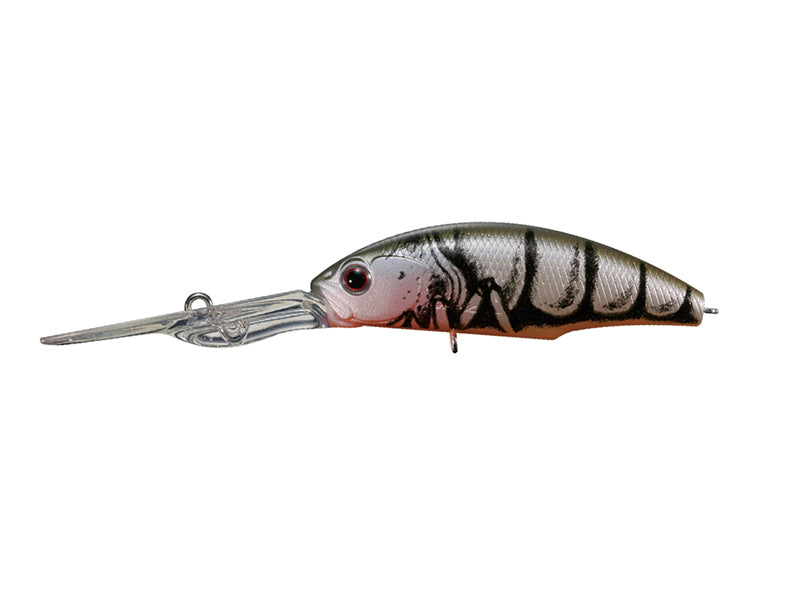 Power Dunk Sp | Z65-soft Shell Craw