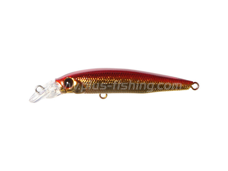 Py Shallow Minnow Main image