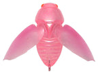 Beetle-x