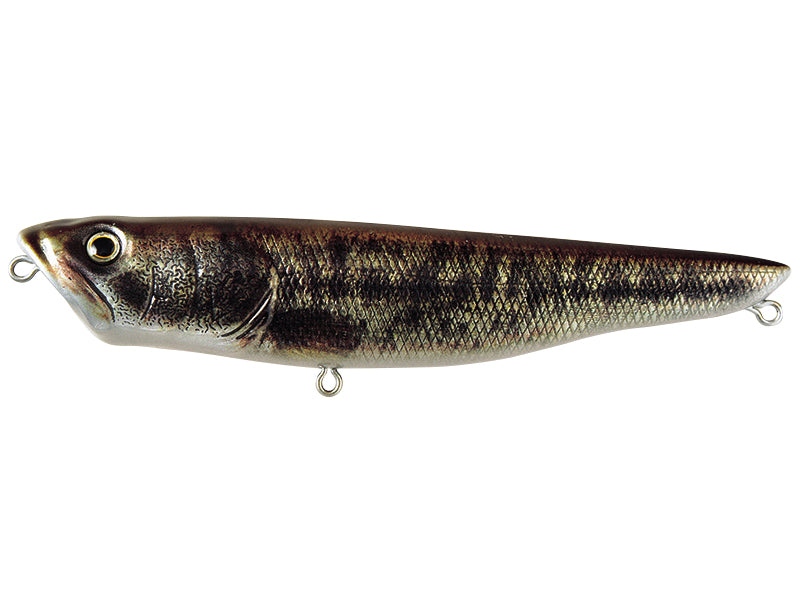 Radspringer | #10 Real Large Mouth