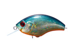 Rattlin' Blitz | H03 - American Sunfish