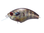 Rattlin' Blitz | Rp16 - Real Gill Ver.2