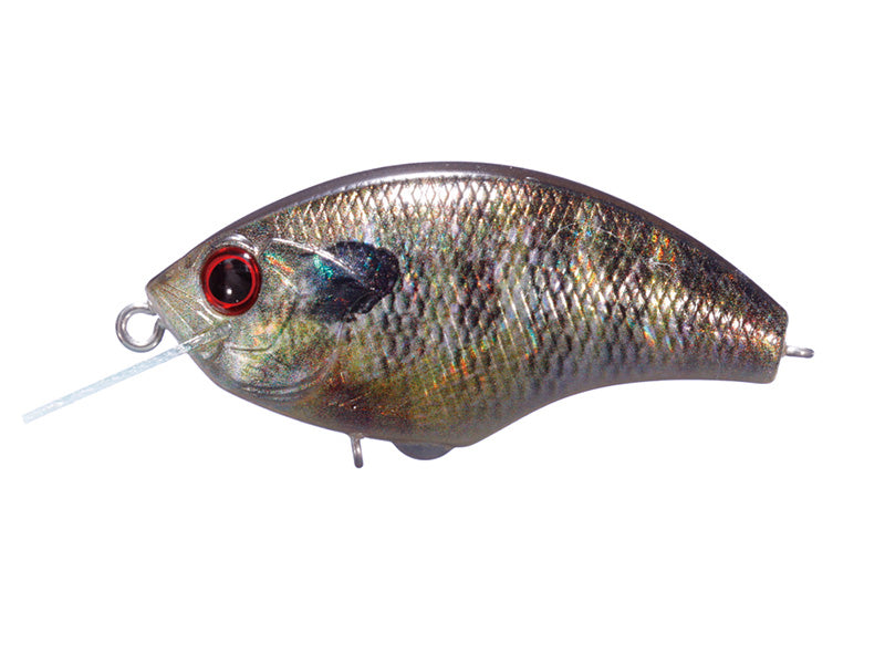 Rattlin' Blitz | Rp16 - Real Gill Ver.2